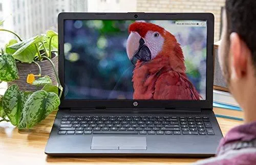 15.6" Thin Laptop Notebook Computer (AMD Quad Core E2-3800 1.3GHz, 8GB RAM, 500GB HDD, Bluetooth, Webcam, DVD-RW, WiFi, Win 10) (Renewed)
