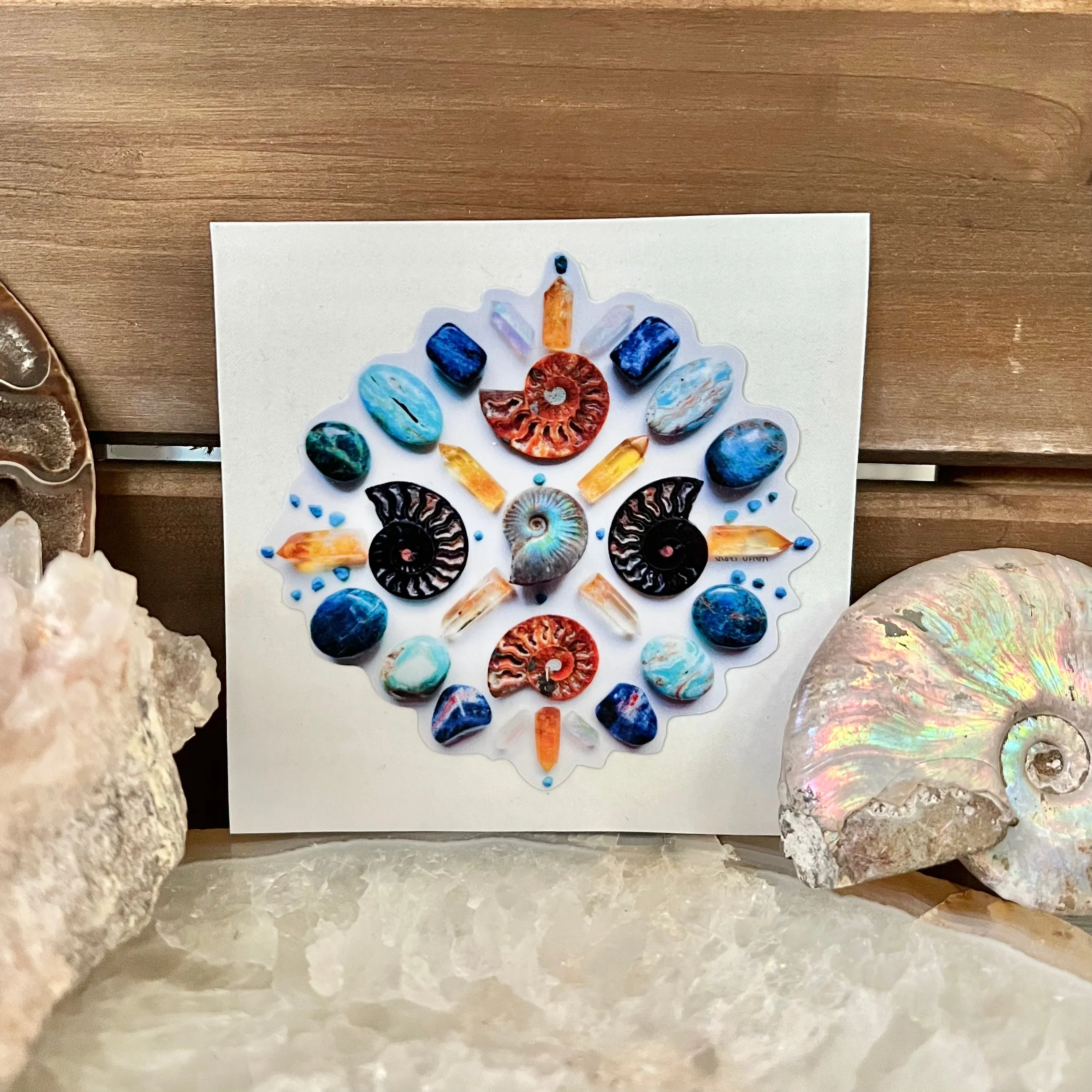 Ammonite Mandala Sticker