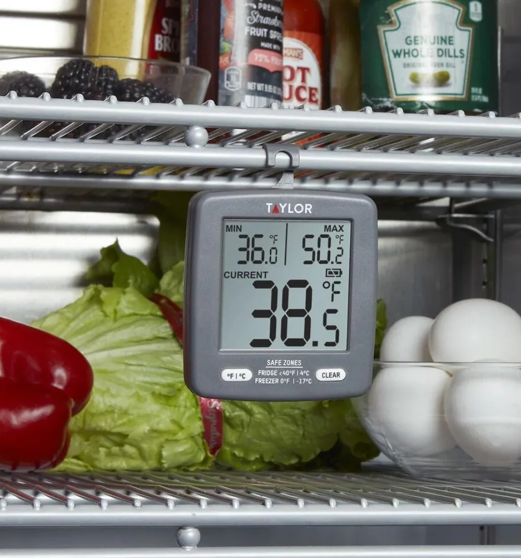 Fridge/Freezer Thermometer