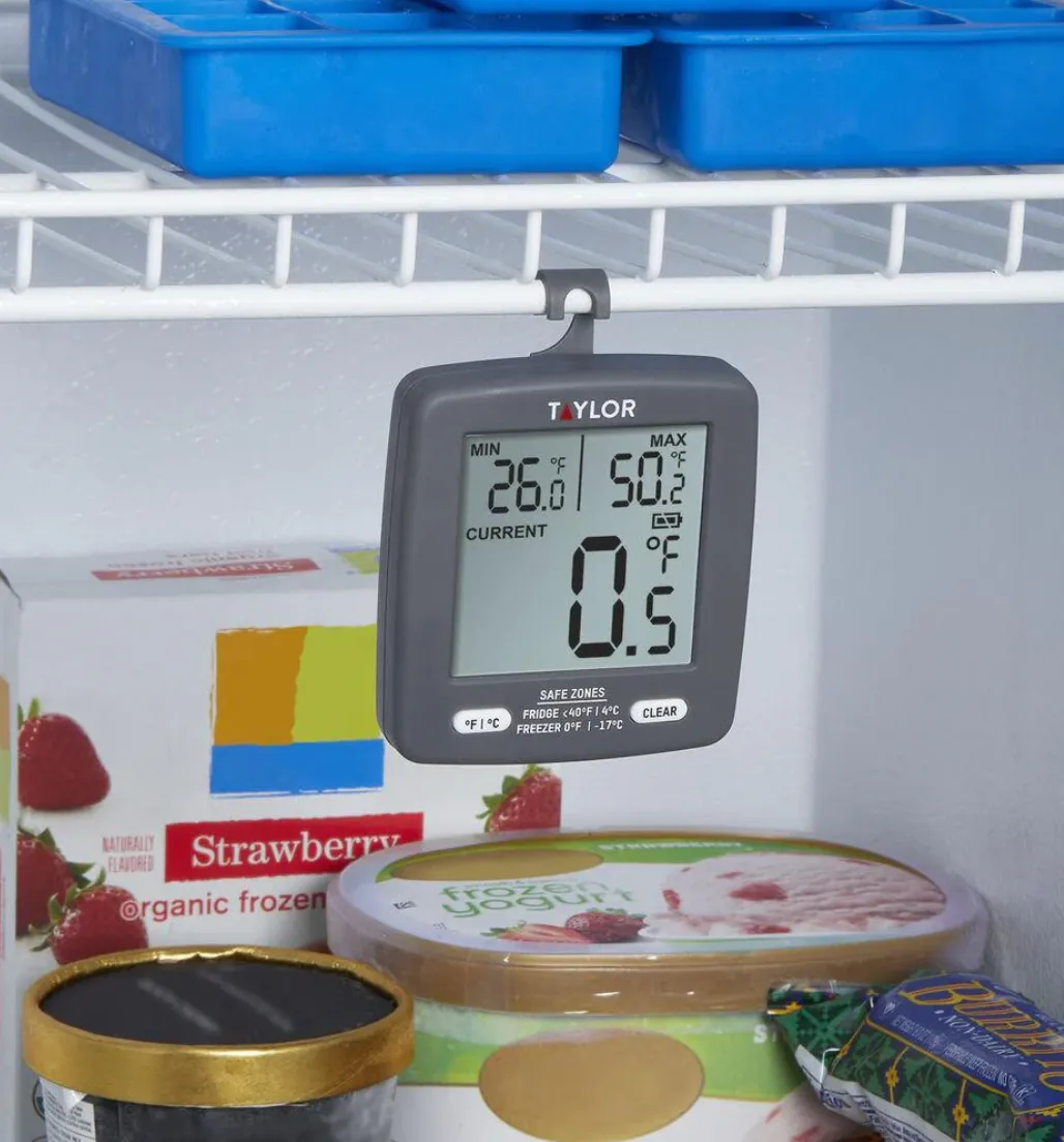 Fridge/Freezer Thermometer