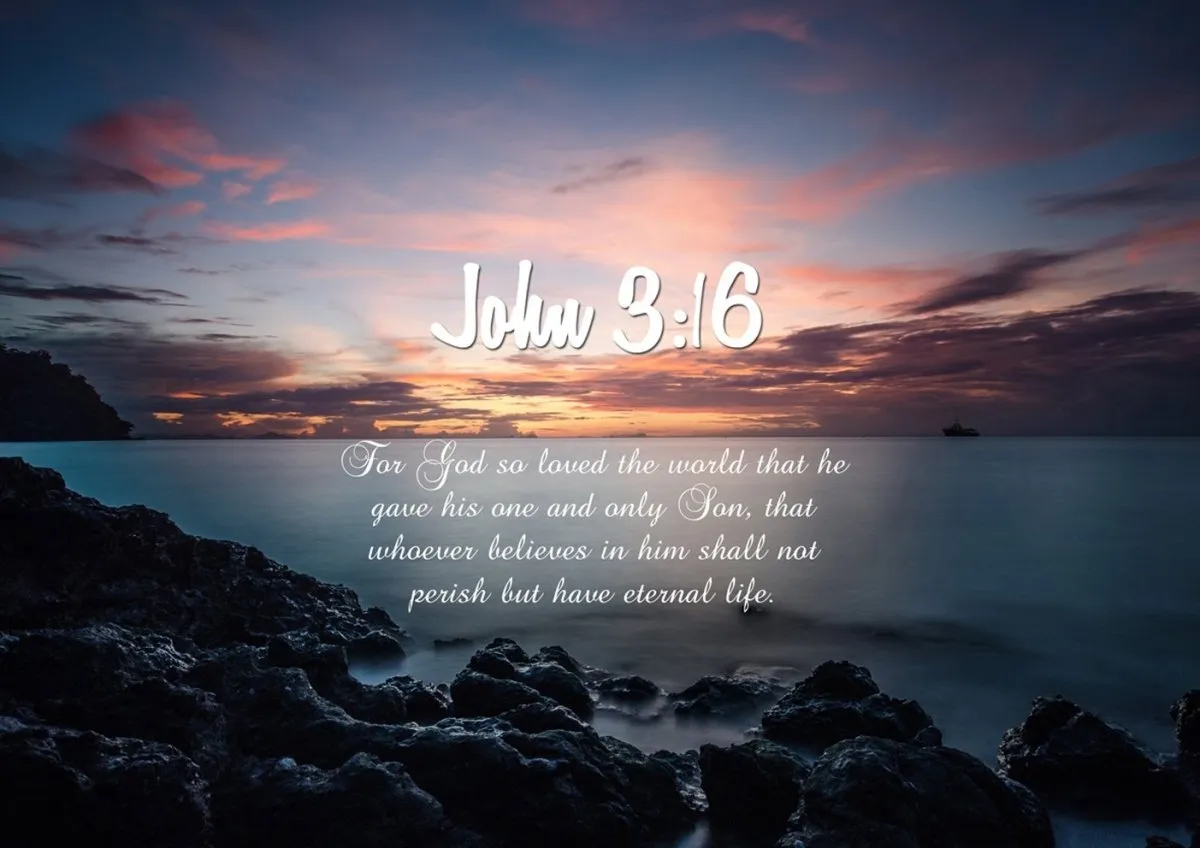 John 316 Niv #18 Bible Verse Canvas Wall Art - Christian Canvas Wall Art