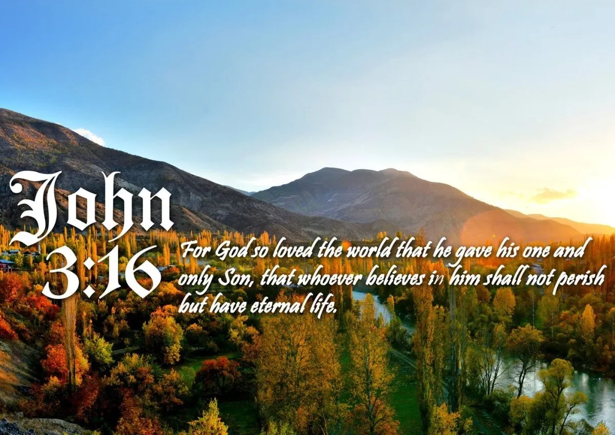 John 316 Niv #26 Bible Verse Canvas Wall Art - Christian Canvas Wall Art