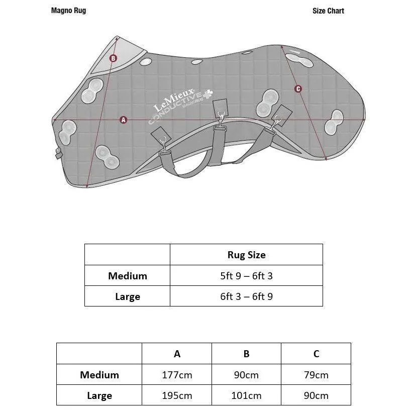 LeMieux Conductive Magno Rug   