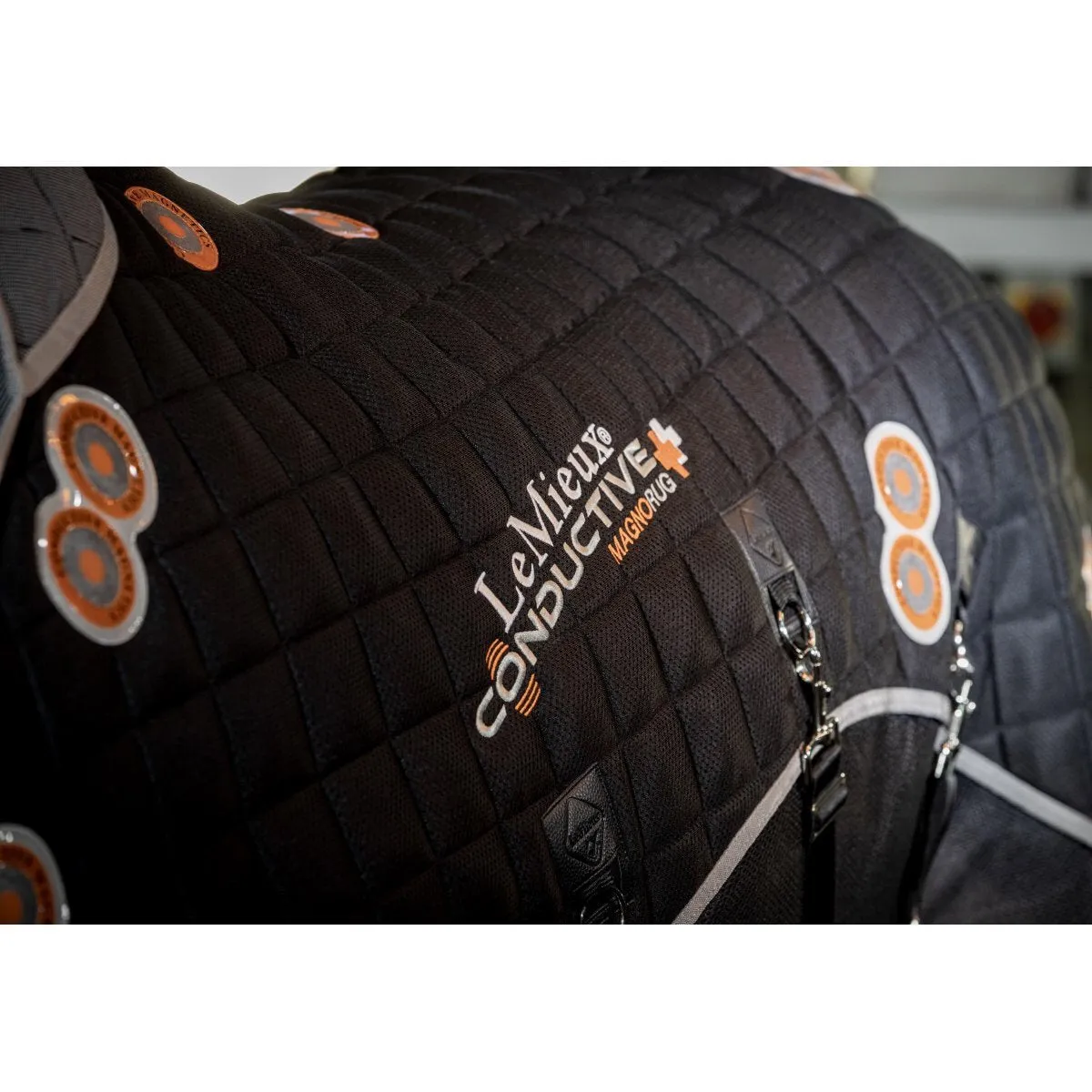 LeMieux Conductive Magno Rug   