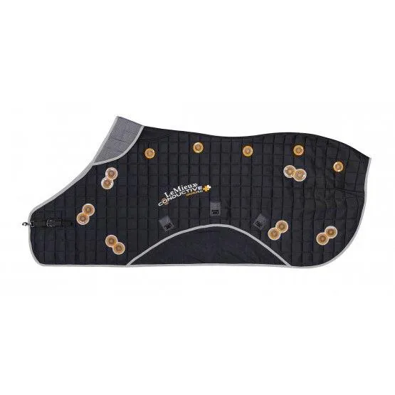 LeMieux Conductive Magno Rug   