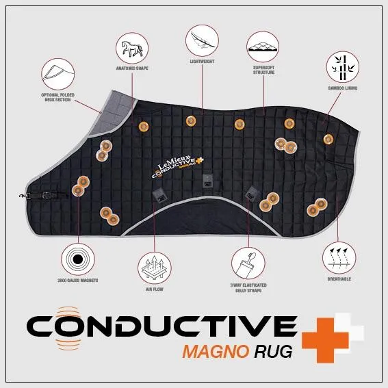 LeMieux Conductive Magno Rug   