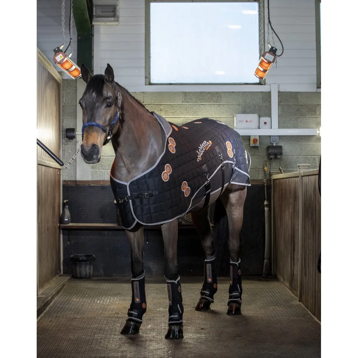 LeMieux Conductive Magno Rug   