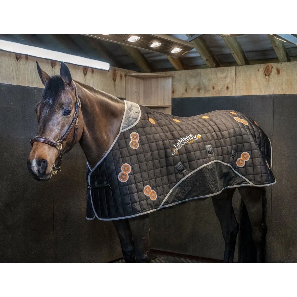 LeMieux Conductive Magno Rug   