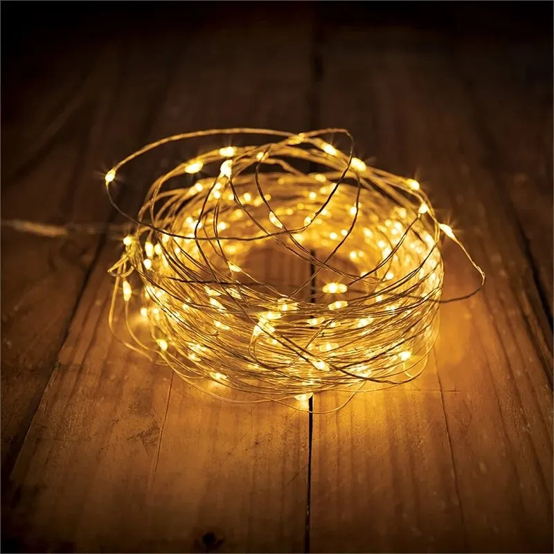 Lytworx 24m Warm 250 White Solar Wire Mico LED Lights