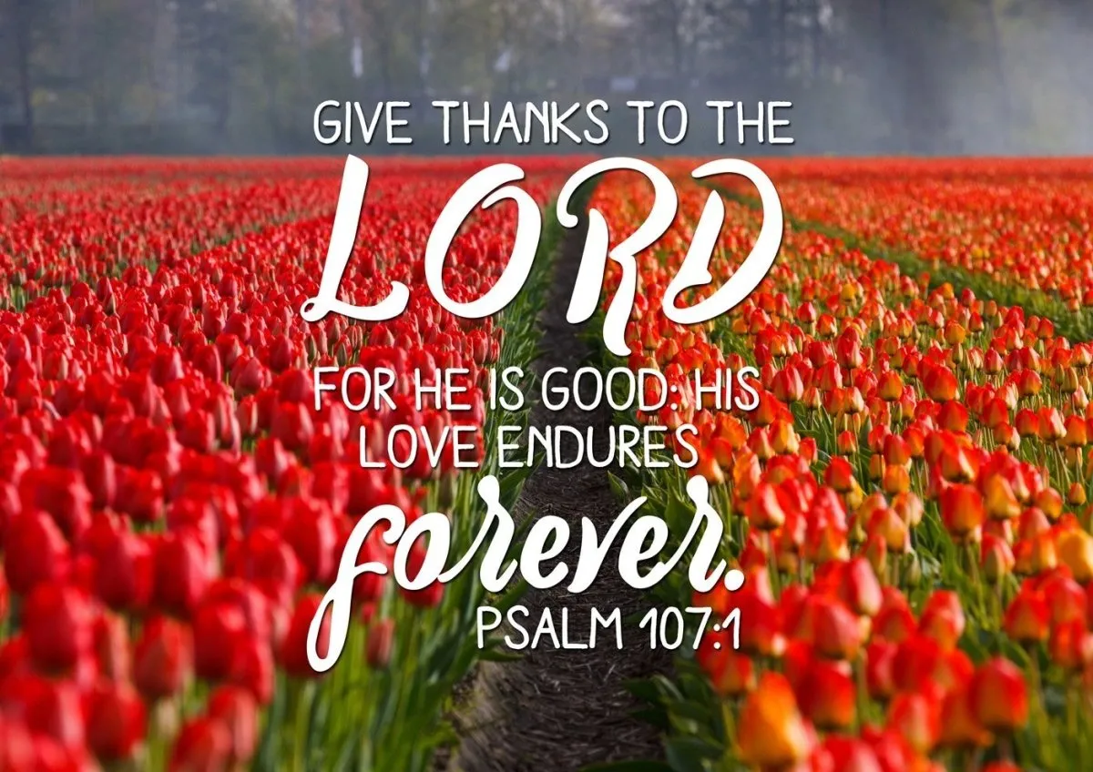 Psalm 1071 Give Thanks To The Lord Canvas Wall Art Print - Christian Canvas Wall Art