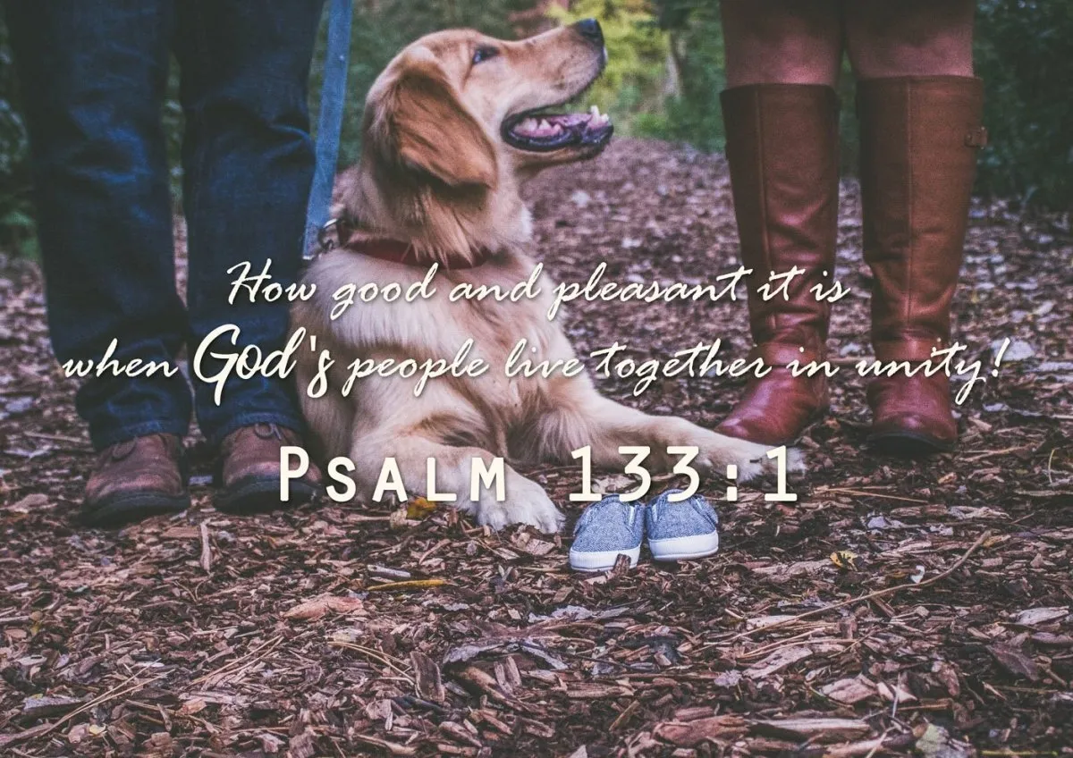 Psalm 1331 Canvas Wall Art Print - Christian Canvas Wall Art